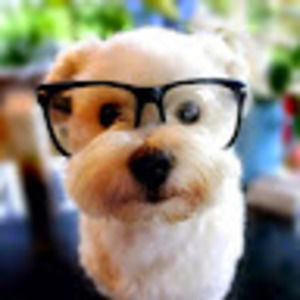 Meet your Posher, Yishu